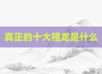 真正的十大祖龙是什么