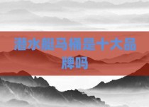 潜水艇马桶是十大品牌吗