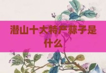 潜山十大特产蒜子是什么