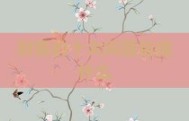 财报的十大问题包括什么