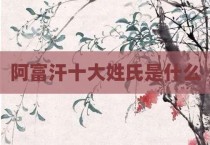 阿富汗十大姓氏是什么