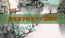 釉宝腻子粉是十大品牌吗