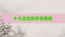 十大适合新手养蜥蜴