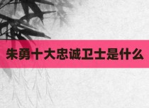 朱勇十大忠诚卫士是什么