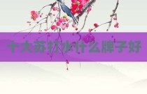 十大苏打水什么牌子好