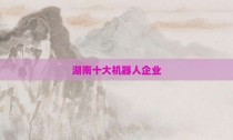 湖南十大机器人企业