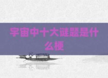 宇宙中十大谜题是什么梗