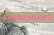 前十大股东有限售股吗