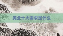 美业十大需求是什么