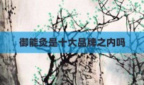 御能灸是十大品牌之内吗