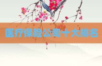医疗保险公司十大排名