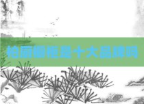 柏厨橱柜是十大品牌吗