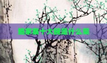 鲍家寨十大碗是什么菜