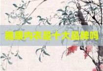 雅康内衣是十大品牌吗