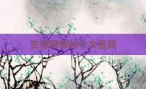 生态板板材十大名牌