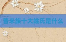 普米族十大姓氏是什么