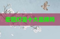宏冠灯是十大品牌吗