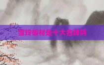 雪玲板材是十大名牌吗