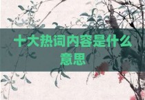 十大热词内容是什么意思