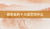 黄明昊的十大综艺叫什么