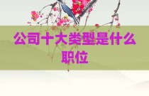 公司十大类型是什么职位