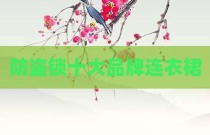 防盗锁十大品牌连衣裙