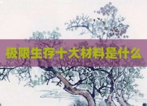 极限生存十大材料是什么