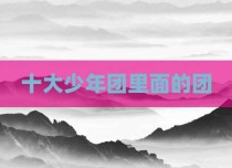 十大少年团里面的团