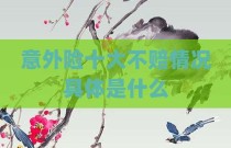 意外险十大不赔情况具体是什么