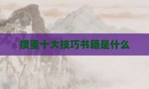 掼蛋十大技巧书籍是什么