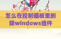 怎么在控制面板里删除windows组件