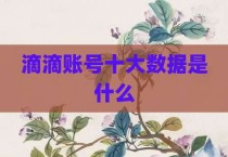滴滴账号十大数据是什么