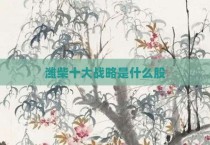 潍柴十大战略是什么股
