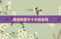 美缝剂属于十大排名吗