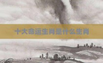 十大命运生肖是什么生肖