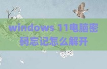 windows 11电脑密码忘记怎么解开