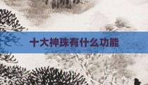 十大神珠有什么功能