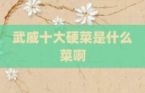武威十大硬菜是什么菜啊