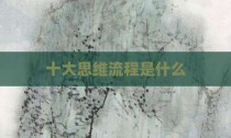 十大思维流程是什么
