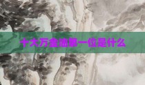 十大万金油第一位是什么