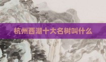 杭州西湖十大名树叫什么