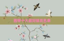 西甲十大最好球员名单