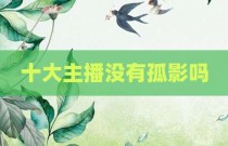 十大主播没有孤影吗
