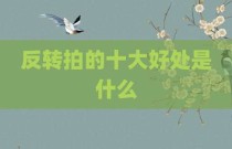 反转拍的十大好处是什么