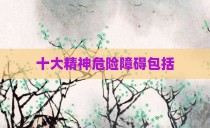 十大精神危险障碍包括