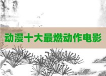 动漫十大最燃动作电影