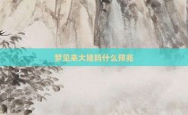梦见来大姨妈什么预兆