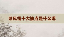 吹风机十大缺点是什么呢