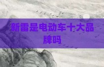 新雷是电动车十大品牌吗