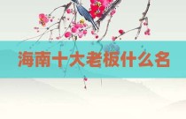 海南十大老板什么名